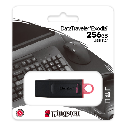 Kingston USB Flash Drive 256GB