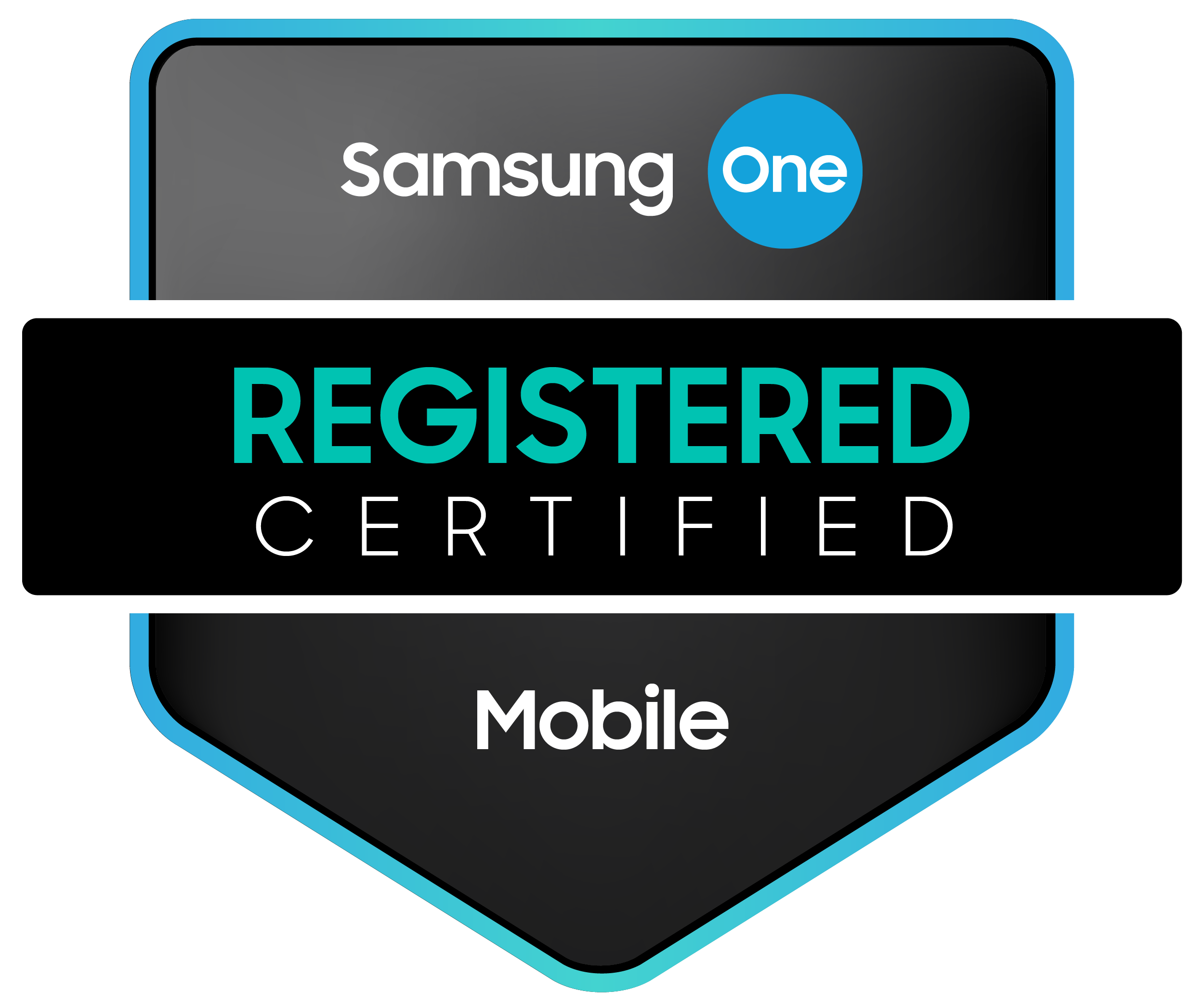 Samsung One Partner