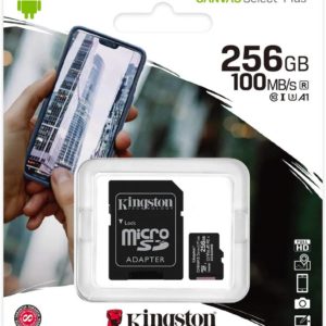 Kingston Micro-SD 256GB Memory Card with Adapter